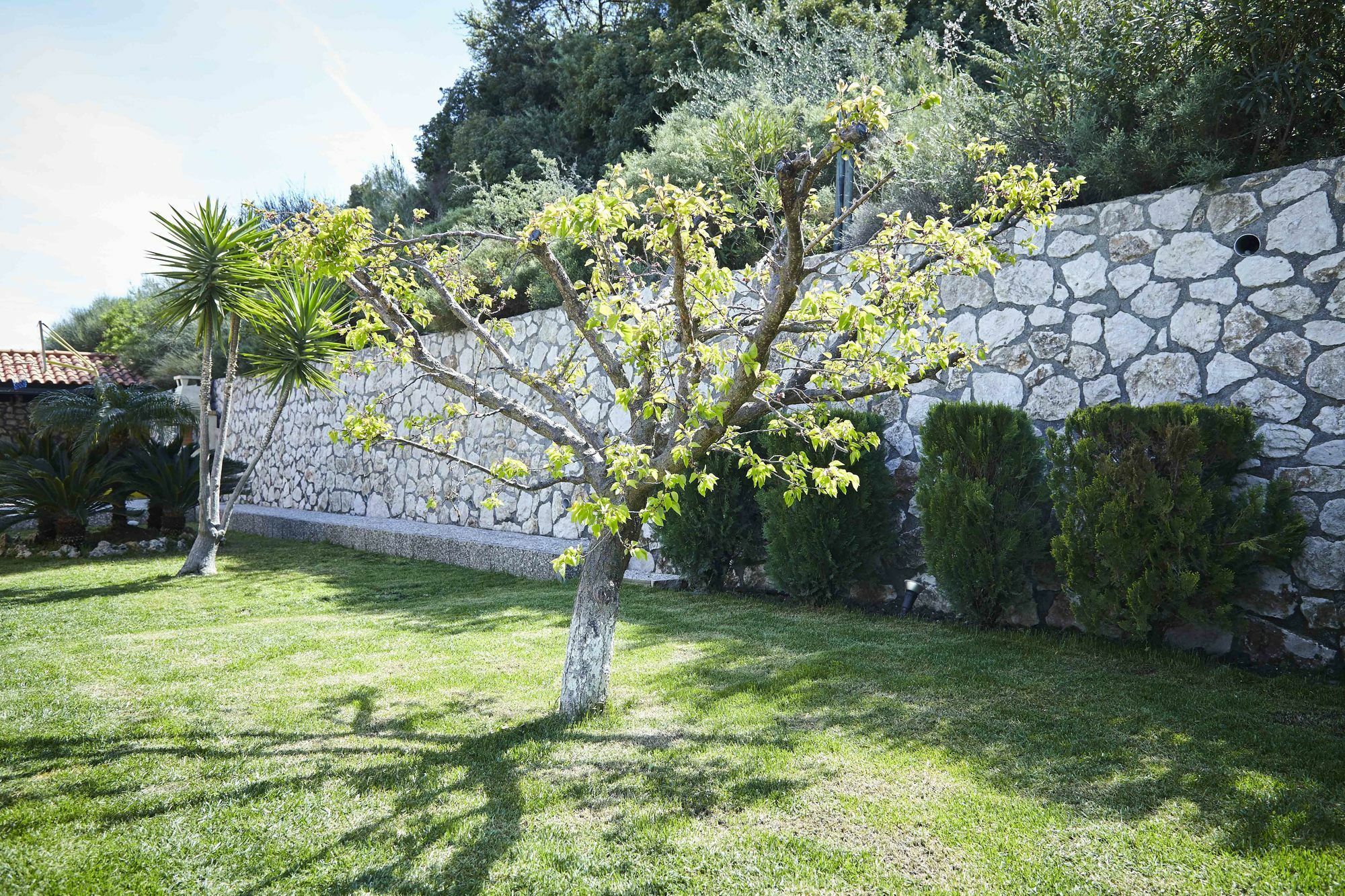 Unique La Vie Est Belle Villa Pastida